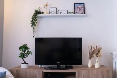 a flat screen tv on a wooden stand with plants at Delia's Vatican House Near St Peter's in Rome