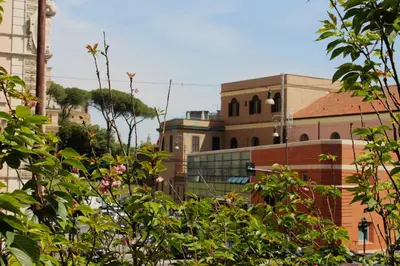 a group of buildings with trees in the foreground at Your Perfect Roman Getaway in Vatican in Rome