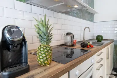 a pineapple sitting on top of a kitchen counter at Green Hill Rome Suite Home in Rome
