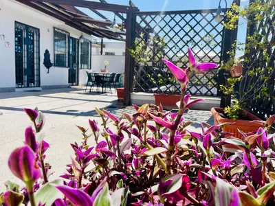a bunch of purple flowers in front of a house at RomaCentum Apartment Aurelio in Rome