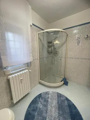 a bathroom with a shower and a blue rug at RomaCentum Apartment Aurelio in Rome