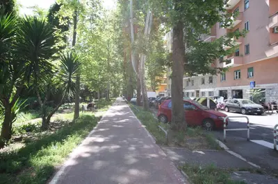 a tree lined street with cars parked next to a building at Borbera Holiday House in Rome