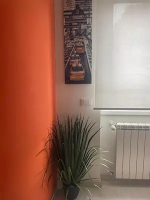 a plant in a room with a picture on the wall at Chez Margot in Rome