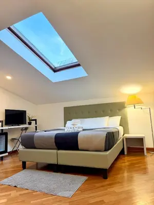 a bedroom with a bed with a skylight at Attic Garden in Rome