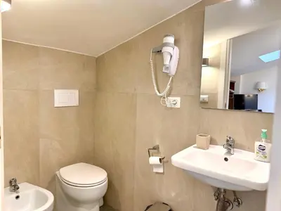 a bathroom with a toilet and a sink and a skylight at Attic Garden in Rome