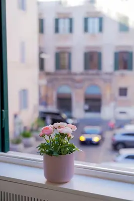 a pink flower pot sitting on a window sill at Bruno Domus Design in Rome