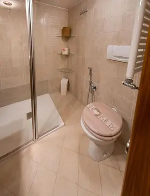 a bathroom with a toilet and a shower at Navona Romantic House in Rome