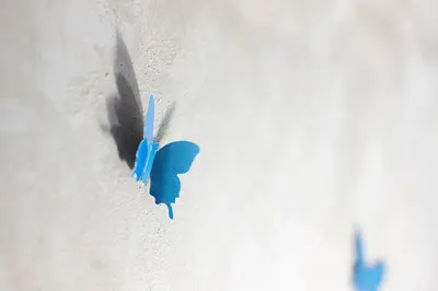 a blue bird perched on the side of a wall at Interno 6 in Rome