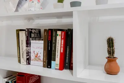 a white book shelf with books and a cactus at Brandnew luxury house near metro station in Rome
