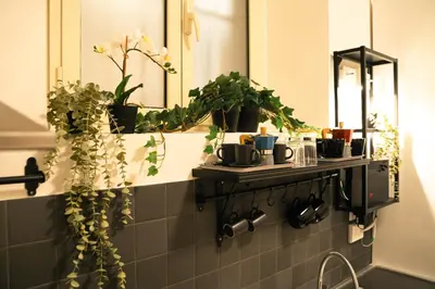 a bathroom with plants and cups on a shelf at Casa Del Grande in Trastevere in Rome