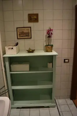 a green shelf with a plant on it in a bathroom at Casa Lory in Rome