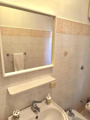 a bathroom with a sink and a mirror at Bilocale in Via degli Orti Variani in Rome
