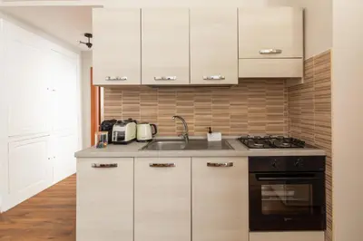 a kitchen with a sink and a stove at Candia Boutique Apartment in Rome