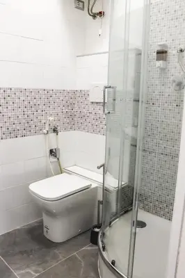 a white bathroom with a toilet and a shower at Silver Rose Guest House in Rome