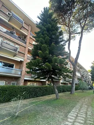 a patio with a bench next to a swimming pool at nel cuore di Roma monolocale con piscina in Rome
