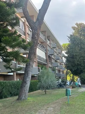 an apartment building with a tree in front of it at nel cuore di Roma monolocale con piscina in Rome