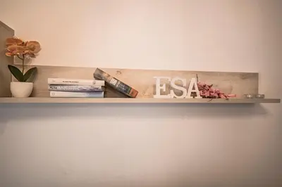 a shelf on a wall with books and a plant at Esa apartment Flaminio in Rome