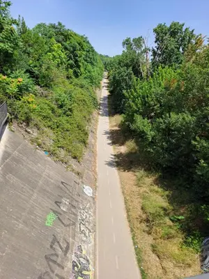 a road with trees on the side of it at Simon's House in Rome