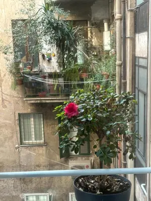 a plant in a pot on a window sill at Art Lab Residence in Rome