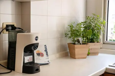 a coffee maker on a counter with two potted plants at Bernadette Apartment - Vaticano area in Rome