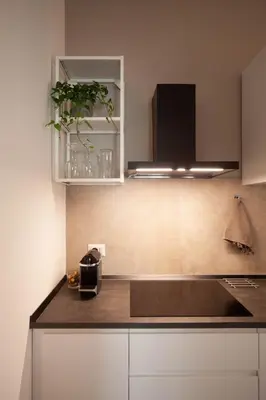 a kitchen with a counter with a plant on a shelf at Luxury apartment with Vatican views in Rome