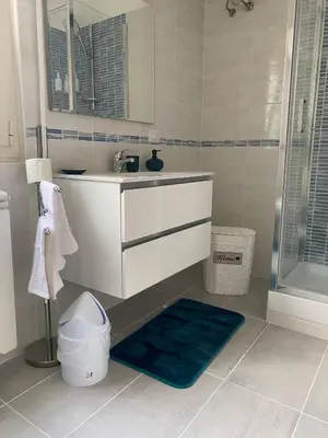 a bathroom with a sink and a shower and a rug at Dany & Manu House in Rome