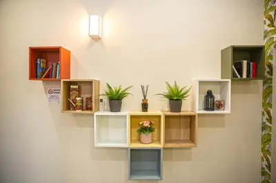 a wall with shelves with potted plants on it at Perla al Pigneto Bed and Breakfast Roma in Rome
