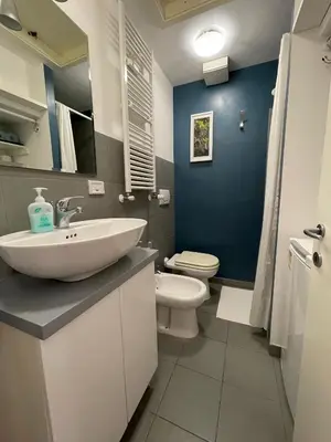 a bathroom with a white sink and a toilet at Blueberry House in Rome