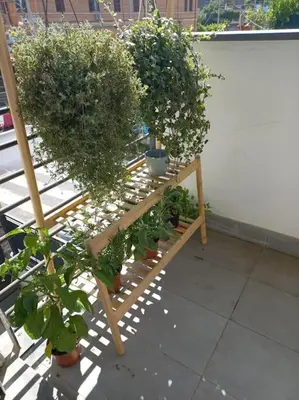 a group of potted plants sitting on a patio at Andrew's Suite Rome center in Rome