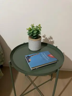 a green table with a potted plant and a book at Enjoy Rhome in Rome