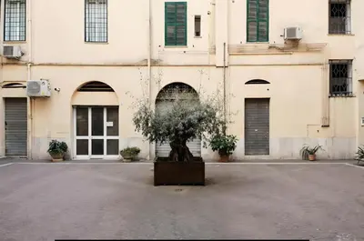 a tree in the middle of a building at Lion Renting Colosseum in Rome
