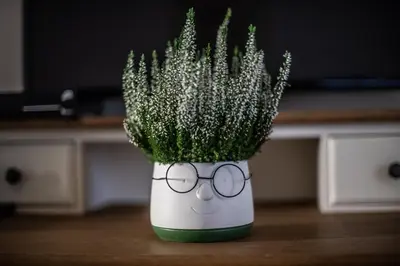 a white vase with a plant with glasses on a table at Rione Monti Home in Rome