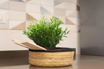 a plant in a basket on a table with a book at iFlat Vatican Spacious Apartment with Terrace in Rome