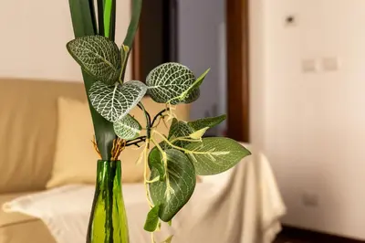 a green vase with a plant in it on a table at iFlat Vatican Spacious Apartment with Terrace in Rome