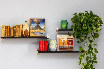 two shelves on a wall with books and a plant at Cherry Suites- Timeless Roman Residence & Terrace in Rome