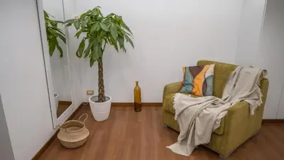 a living room with a couch and a potted plant at TIBERIM Exclusive Rome in Rome