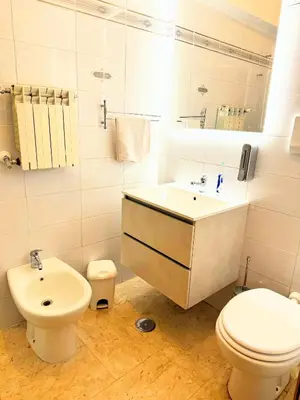 a white bathroom with a toilet and a sink at colosseobb in Rome