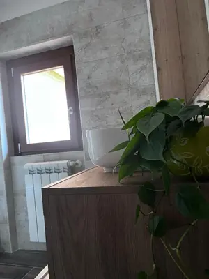 a plant sitting on top of a wooden cabinet with a window at Maison LuCe in Rome