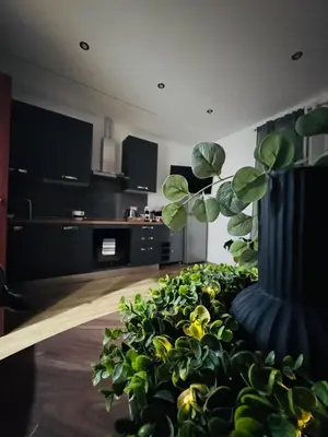 a living room with a potted plant in the middle at Roman Location San Pietro in Rome