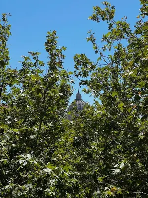 a view of a building through the tops of trees at Doria home-Saint Peter's View in Rome