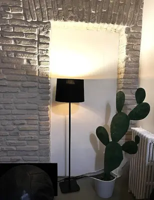 a lamp and a plant in a living room at Roma Stazione Termini 300 mq appartamento con 4 camere vista e idromassaggio in Rome