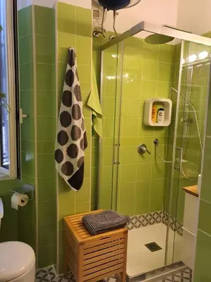 a green bathroom with a shower and a toilet at Charming house in Rome