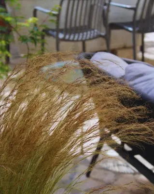 a bunch of hair on a table next to a bench at EppyTime Roma in Rome
