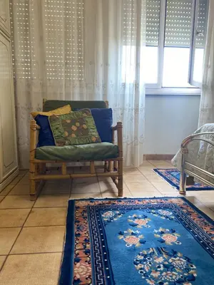 a living room with a chair and a rug at Room near San Pietro and Vaticano in Rome