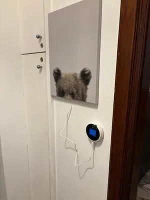 a stuffed bear sticking its head out of a door at Alla Pineta in Rome