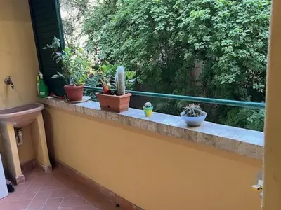 a window with potted plants sitting on a ledge at PiazzaBolognaStay in Rome