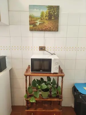 a microwave sitting on top of a table with plants at Double- Room Basilica San Paolo in Rome