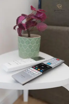 a table with two remote controls and a potted plant at Gemma House - 100mt to Metro Station, 2 En-Suite bathrooms in Rome
