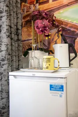 a refrigerator with a vase on top of it at Susy's Guest House - Room Trevi in Rome