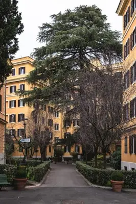 a street in a city with a tree and buildings at New apartment near Piazza del Popolo in Rome